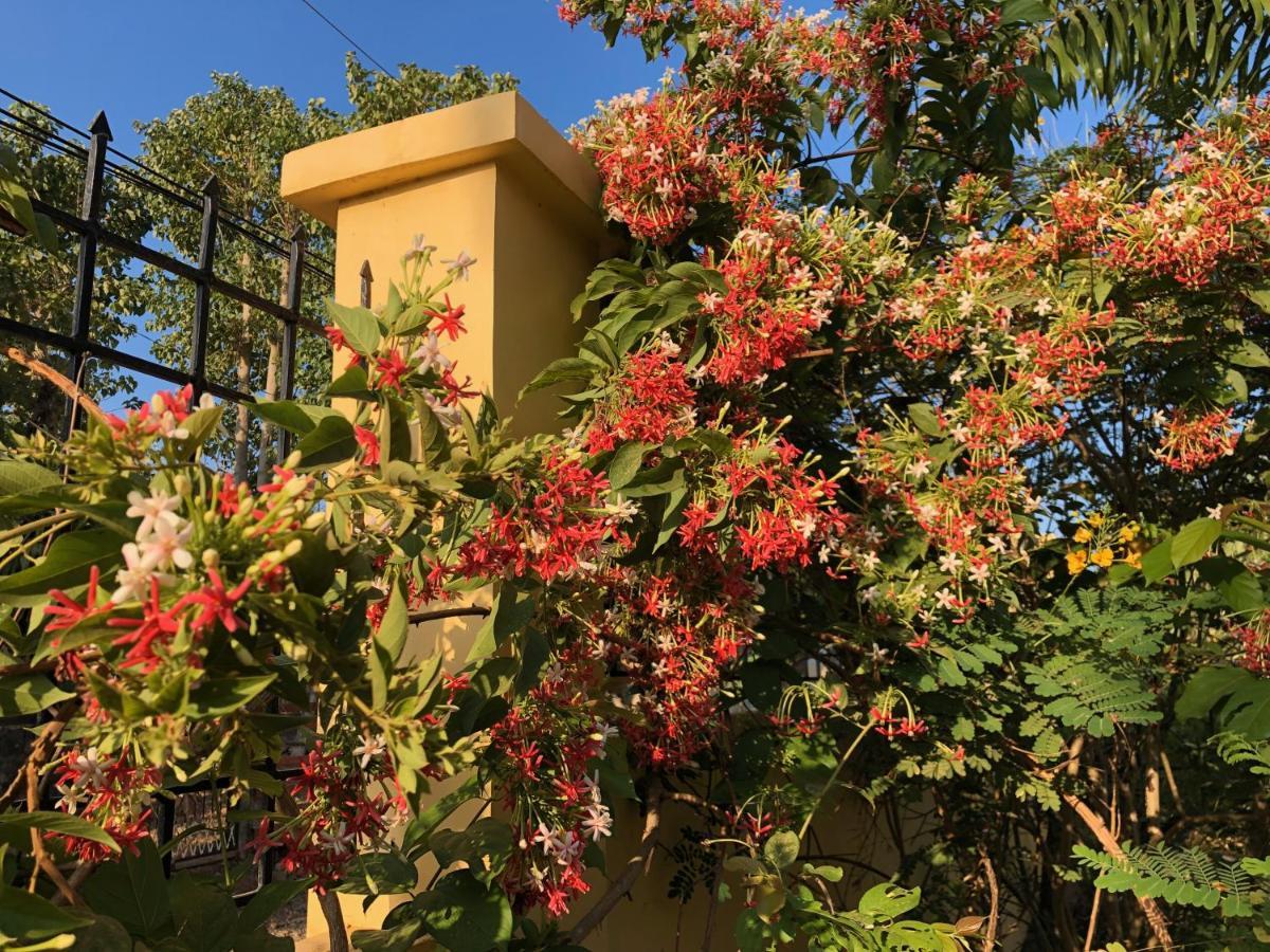 Strutz Art Garden Resort Bangued Exteriör bild