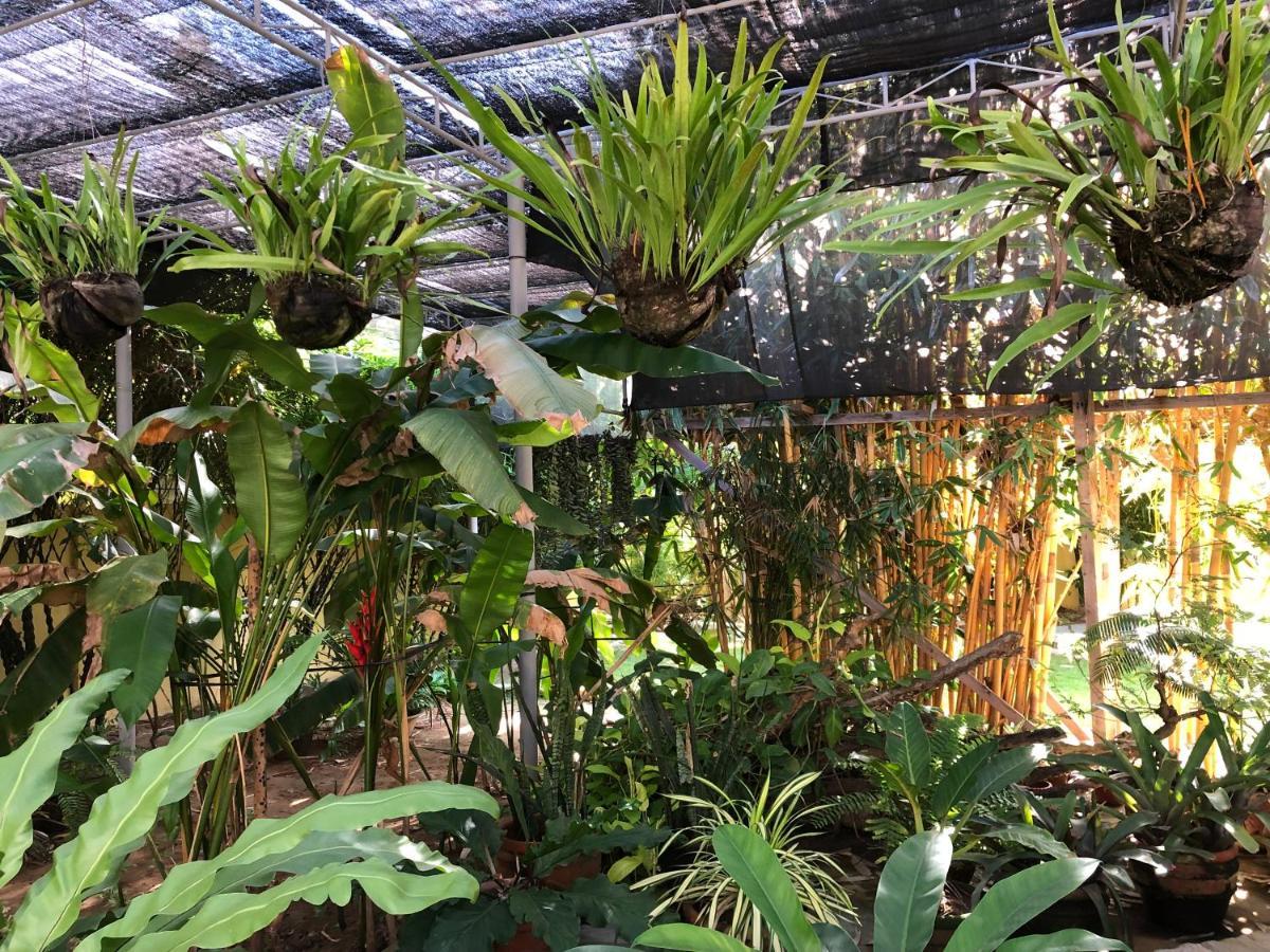Strutz Art Garden Resort Bangued Exteriör bild